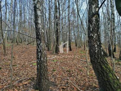NIERUCHOMOŚĆ ROLNA O POW. 1,95HA, SZUFNAROWA, GM. WIŚNIOWA, POW....