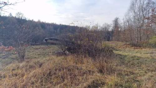 Działka budowlana na sprzedaż, 1002 m2, Dąbrowa Górnicza