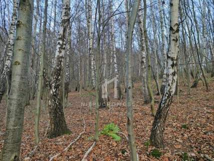 NIERUCHOMOŚĆ ROLNA O POW. 1,95HA, SZUFNAROWA, GM. WIŚNIOWA, POW....