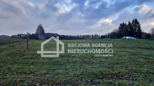 Działka rolna 3000 m2 Przęsin