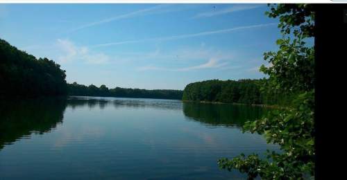Dz.1.2395ha,Żelisławie,gmCzaplinek,J.Kaleńskie,las