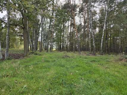 Działka budowlana na sprzedaż, 900 m2, Ożarowice