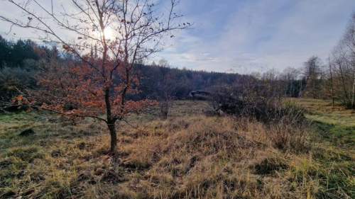 Działka budowlana na sprzedaż, 1002 m2, Dąbrowa Górnicza