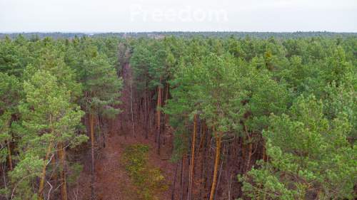 Piękna działka budowlana w Sękocin Las obok Łaz