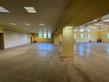Dwie hale z biurem i parkingiem