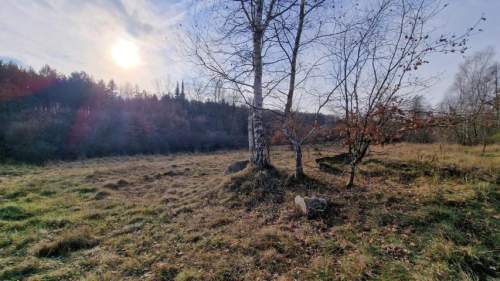 Działka budowlana na sprzedaż, 1002 m2, Dąbrowa Górnicza