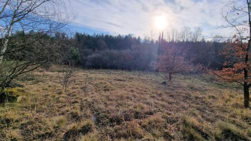 Działka budowlana na sprzedaż, 1002 m2, Dąbrowa Górnicza