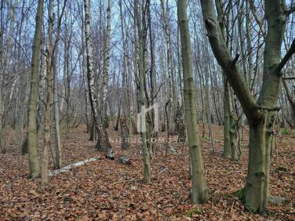 NIERUCHOMOŚĆ ROLNA O POW. 1,95HA, SZUFNAROWA, GM. WIŚNIOWA, POW....