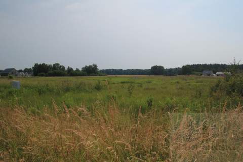 DZIAŁKA BUDOWLANA, ZIELONA OKOLICA, POD GOLENIOWEM