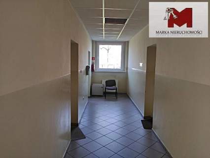 Kędzierzyn-Koźle dzielnica Azoty, biura do wynajęc