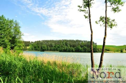 Jezioro, las, własny brzeg. Mazury.