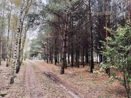 Działka rolna na sprzedaż, 2303 m2, Sosnowo