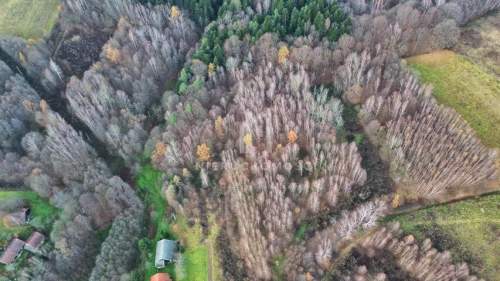 NIERUCHOMOŚĆ ROLNA O POW. 1,95HA, SZUFNAROWA, GM. WIŚNIOWA, POW....