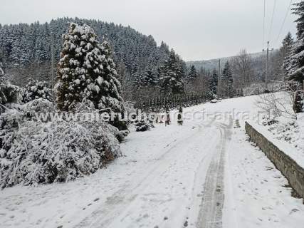 Mieszkanie na wynajem w klimatycznym miejscu