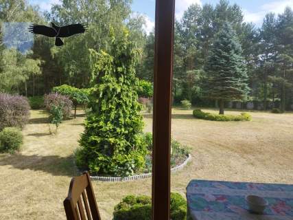 Dom na działce 2500 m2