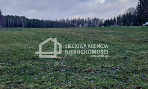 Działka rolna 3000 m2 Przęsin