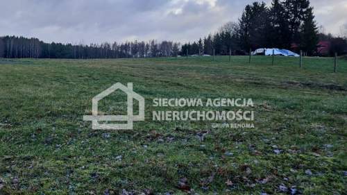 Działka rolna 3000 m2 Przęsin