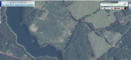 Dz.1.6389ha,Żelisławie,gmCzaplinek,J.Kaleńskie,las