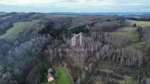 NIERUCHOMOŚĆ ROLNA O POW. 1,95HA, SZUFNAROWA, GM. WIŚNIOWA, POW....