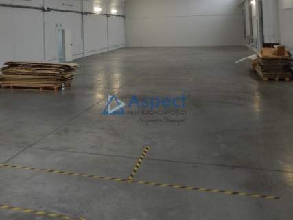 Wynajem obiekt biurowo-magazynowy 562m2