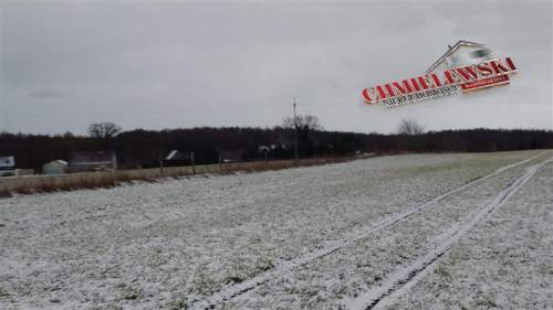 Działka siedliskowa - Warszkowo Kolonia