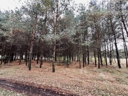 Działka rolna na sprzedaż, 2500 m2, Sosnowo