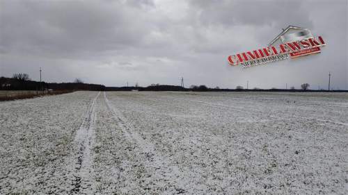 Działka siedliskowa - Warszkowo Kolonia