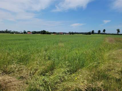 Działka inwestycyjna na sprzedaż, 15000 m2, Borówno