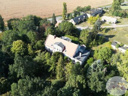Dwór 5 km od Wrześni przy DK nr 15 działka 2,56 ha