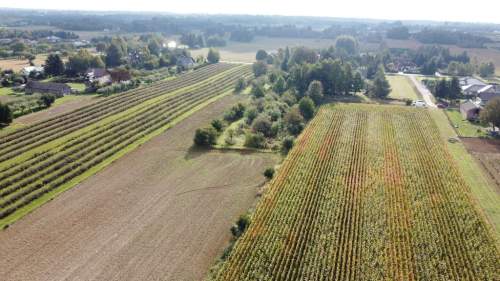 Działka, Motycz, 8.5ar, budownictwo jednorodzinne