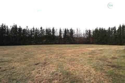 Brojce Hossoland 2 domy, ponad 7000 m2 działki