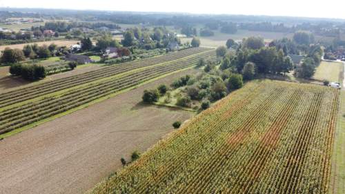 Działka, Motycz, 8.5ar, budownictwo jednorodzinne