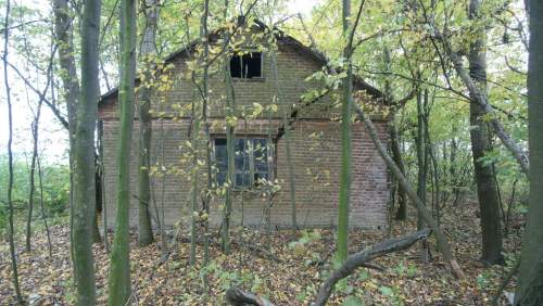 Siedlisko działka z zabudową 20a Wola Duża Kol.