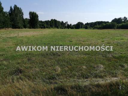 Działka rolna na sprzedaż, 11000 m2, Stare Budy Radziejowskie