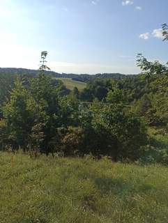 Działka rolna na sprzedaż, 50600 m2, Udziejek
