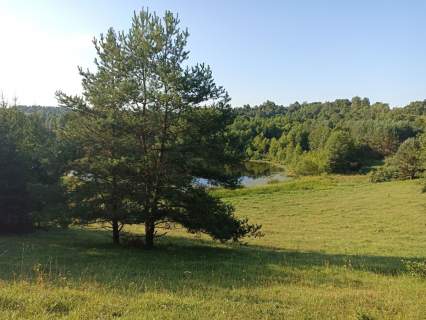 Działka rolna na sprzedaż, 50600 m2, Udziejek
