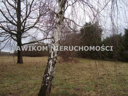 Działka rolna na sprzedaż, 13500 m2, Grzmiąca