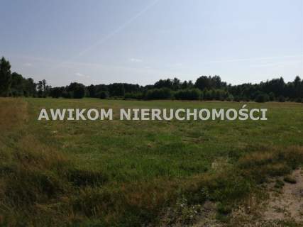 Działka rolna na sprzedaż, 11000 m2, Stare Budy Radziejowskie