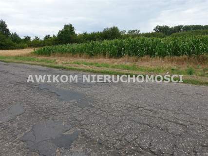 Działka budowlana na sprzedaż, 3396 m2, Cegłów