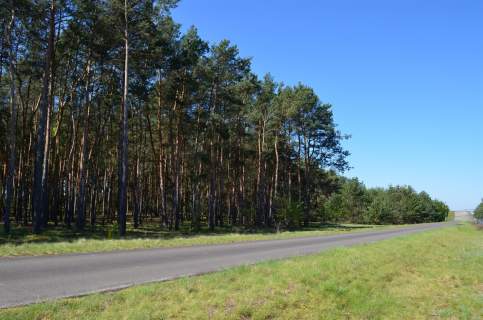 Działka na sprzedaż, 59200 m2, Gaj
