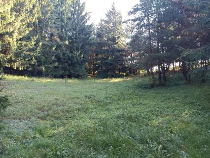 Działka rolna na sprzedaż, 50600 m2, Udziejek