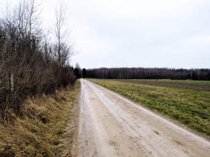 Działka przy Lesie Wiączyńskim w Natolinie