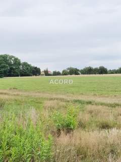 Michałów 2000 m2 budowlana