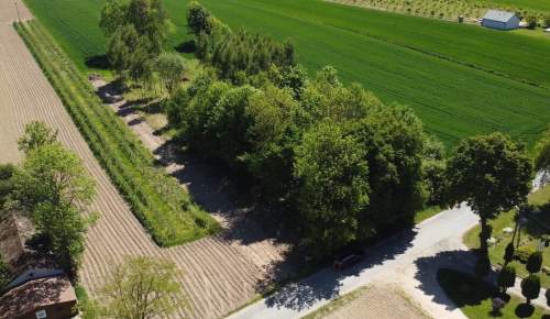 Siedlisko działka z zabudową 20a Wola Duża Kol.