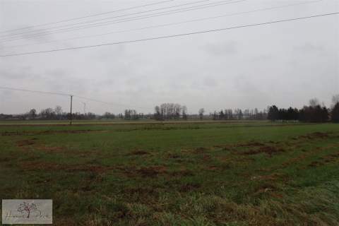 Działka budowlana w Błaszkach 