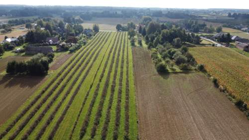Działka, Motycz, 8.5ar, budownictwo jednorodzinne