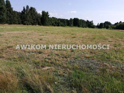 Działka rolna na sprzedaż, 11000 m2, Stare Budy Radziejowskie