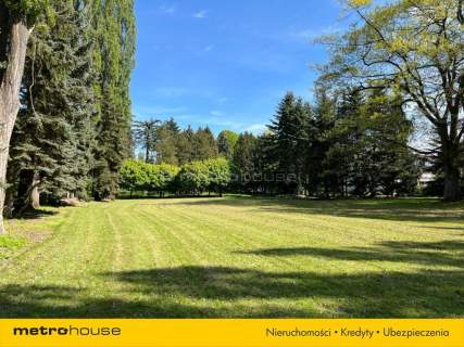 Piękny Park ze starymi drzewami i stawem