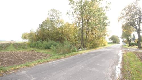 Siedlisko działka z zabudową 20a Wola Duża Kol.