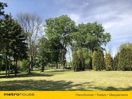 Piękny Park ze starymi drzewami i stawem